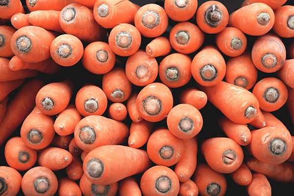 La vente de carottes - Éditions 2012-2016